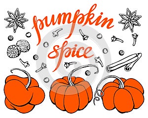 Hand drawn vector of Pumpkins and Lettering